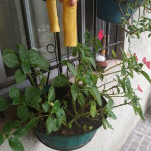 pincho ceramica artesanal argentina