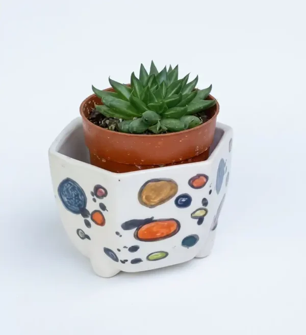 Macetita de ceramica artesanal pintada a mano